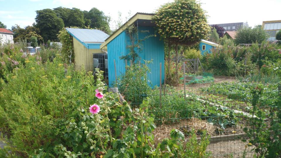 Cabanes de jardin familial